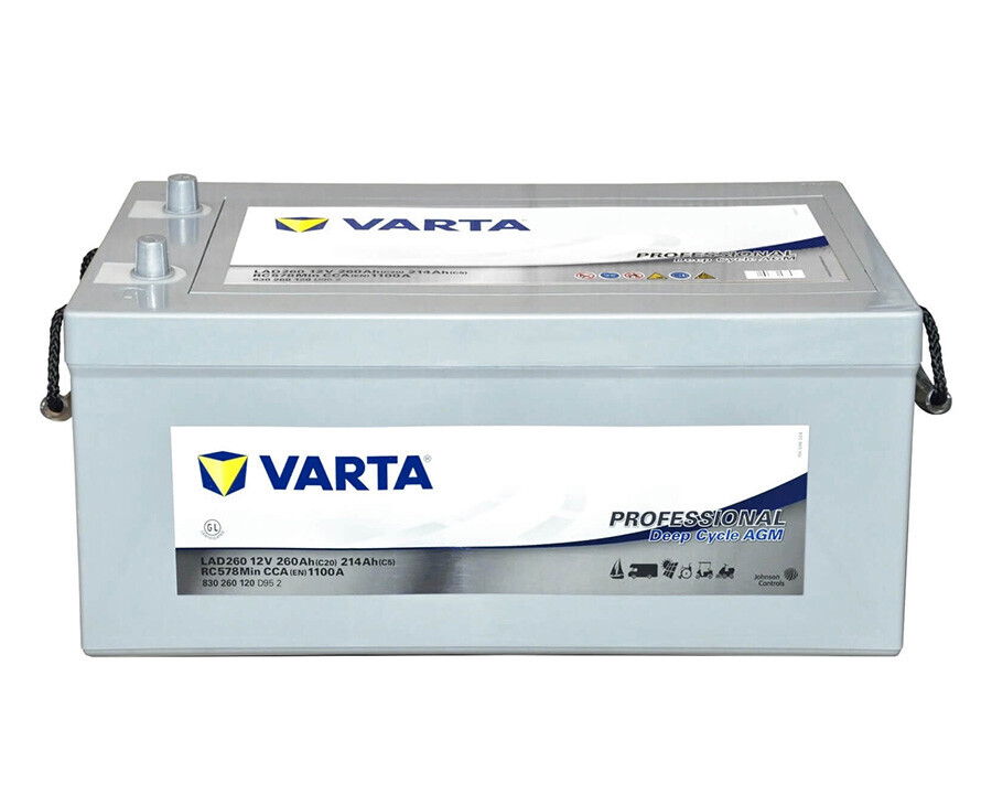 Varta Professional Deep Cycle AGM Akü - 5